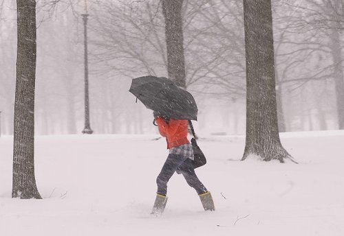 暴風雪襲擊美國東海岸 積雪將達50厘米