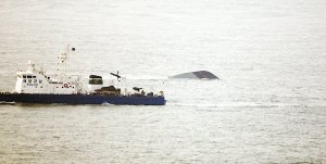 媒體稱天安艦爆炸沉沒系韓海軍史上最大慘案