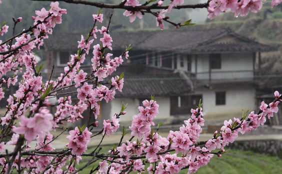 福建獲批建設(shè)全國(guó)首個(gè)生態(tài)文明先行示范區(qū)