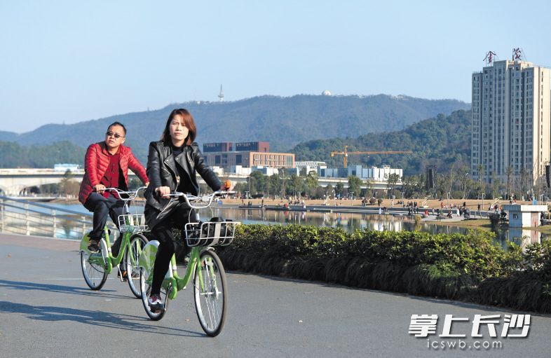 梅溪湖畔，市民們騎著共享單車賞景。長沙晚報記者 鄒麟 攝