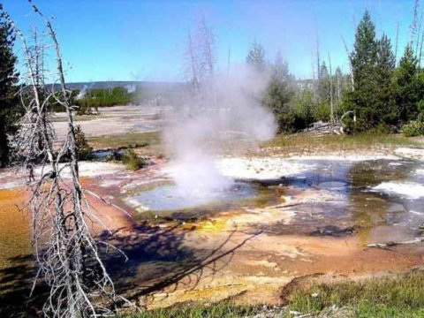 大膽人類(lèi)火山口“湊熱鬧”求婚品酒賞美景（圖）（5）