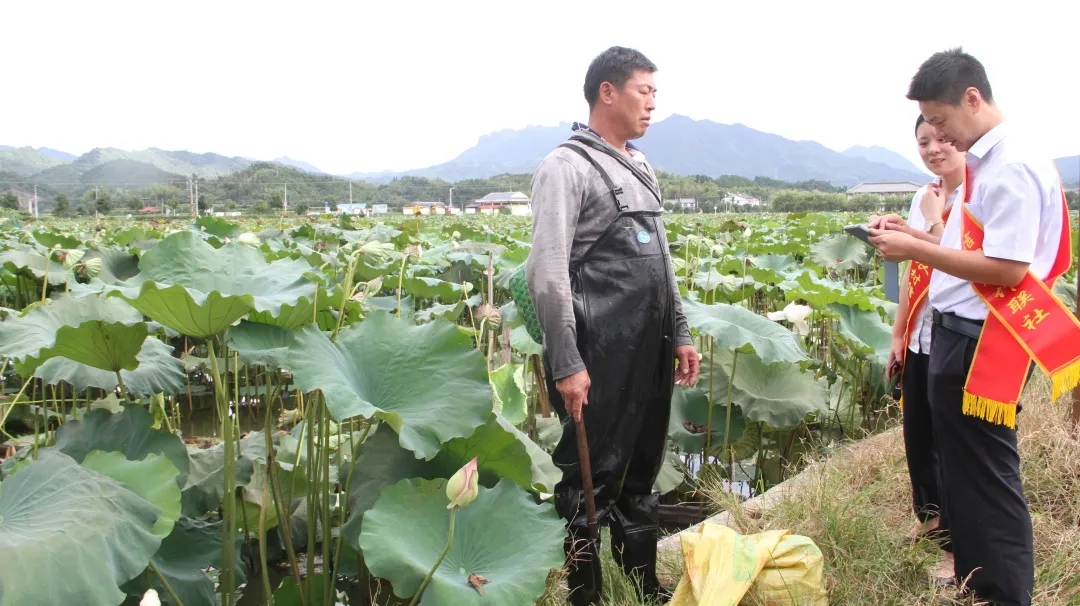 建寧聯社金融助理為蓮農提供金融服務.webp.jpg