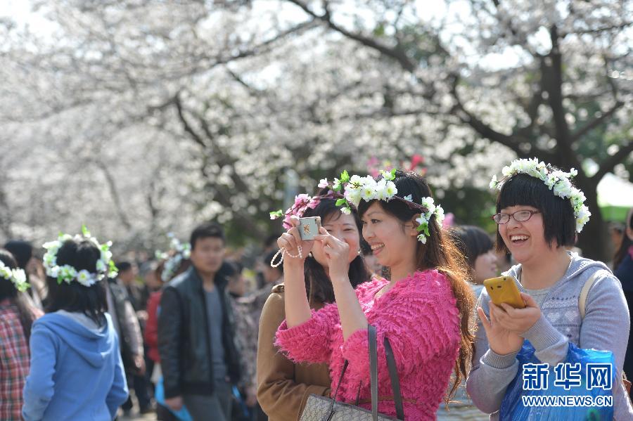 #（社會(huì)）（3）南國(guó)花開艷 賞櫻正當(dāng)時(shí)